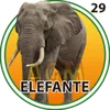 Elefante
