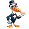 Pelicano