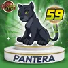 Pantera