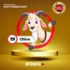 Chivo