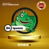 Iguana
