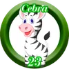 Cebra