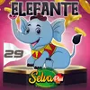 Elefante