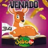 Venado